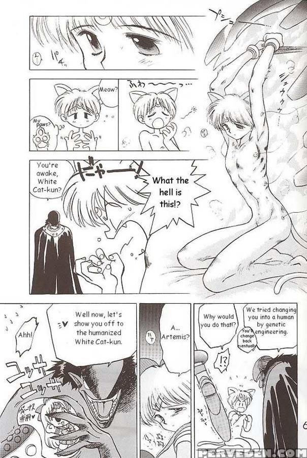Submission Venus - Pretty Guardian Sailor Moon Chapter 1000 Page 31